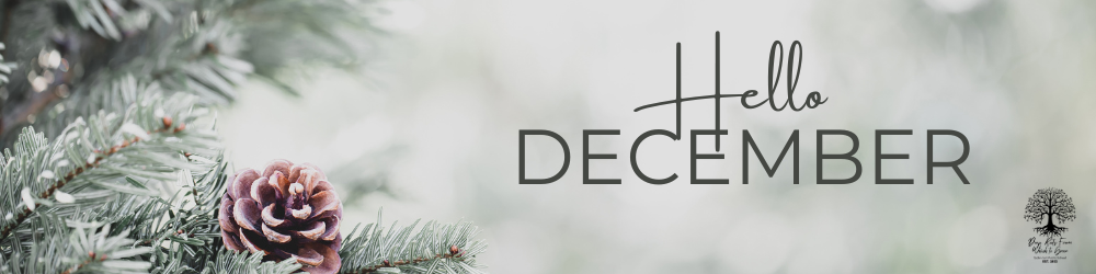 Grey and Green Modern Hello December Canvas Banner
