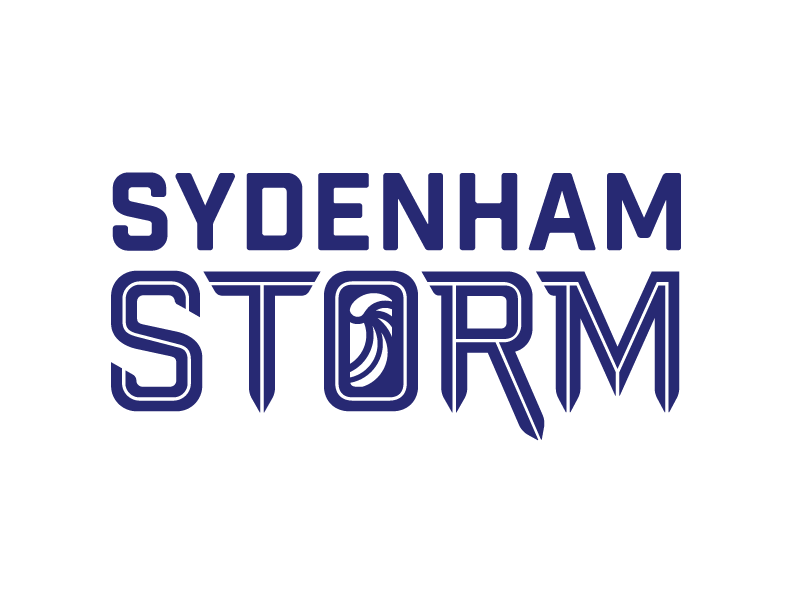 Storm Logo Blue 1 